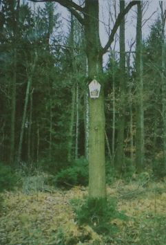 urheber: t.sobczyk, a. bueltemeier