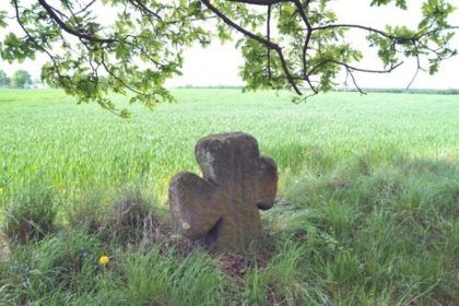 quelle:  niederlausitz-aktuell.de