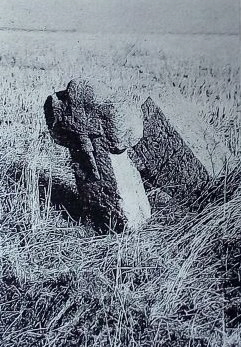 kopie lit. f. stoerzner 1988