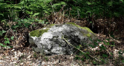 urheber: berti berti